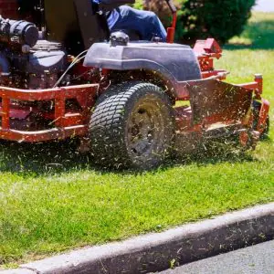 Mowing